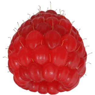 Berries