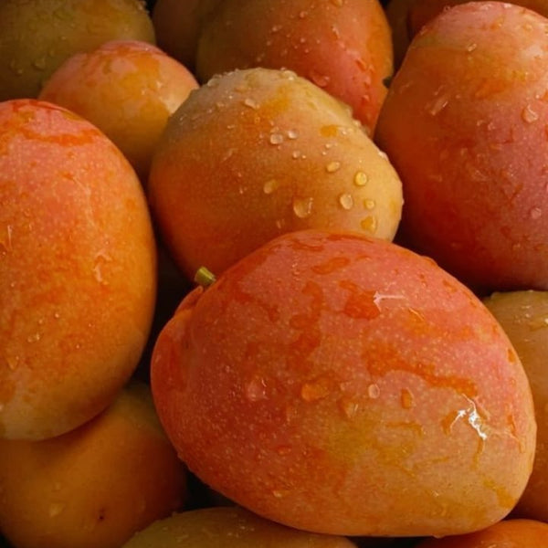 Seasonal fresh fruit photos list.