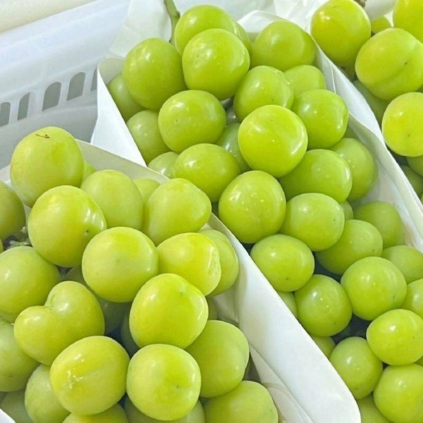 Seasonal fresh fruit photos list.