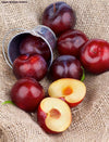 Fresh Purple Plums