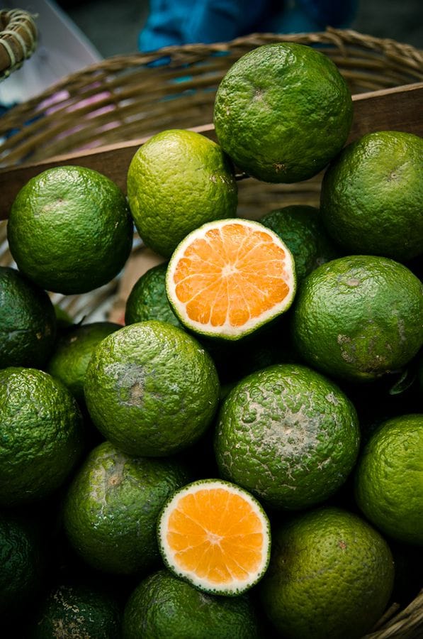Fresh Orange