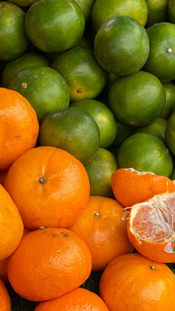 Fresh Orange